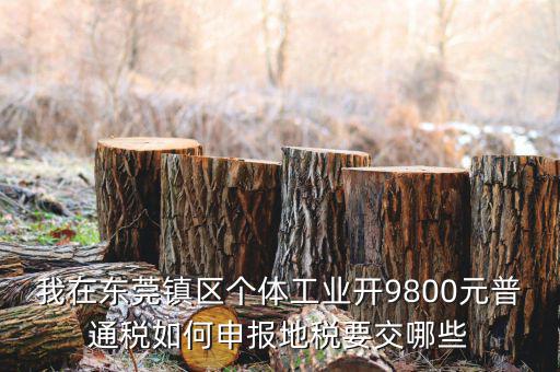 四稅一費是什么，我在東莞鎮(zhèn)區(qū)個體工業(yè)開9800元普通稅如何申報地稅要交哪些