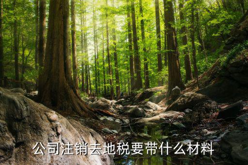 注銷地稅需要帶什么資料，公司注銷去地稅要帶什么材料
