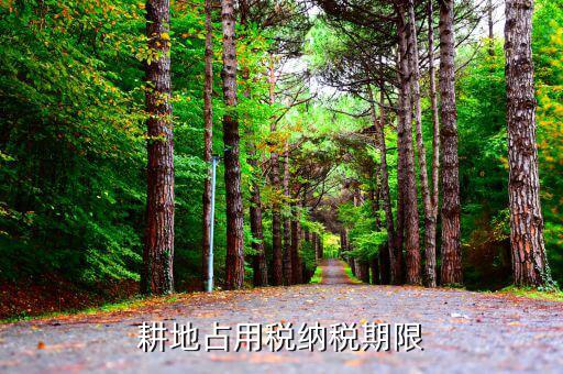 耕地占用稅什么時候稅務(wù)征收，耕地占用稅納稅義務(wù)發(fā)生時間