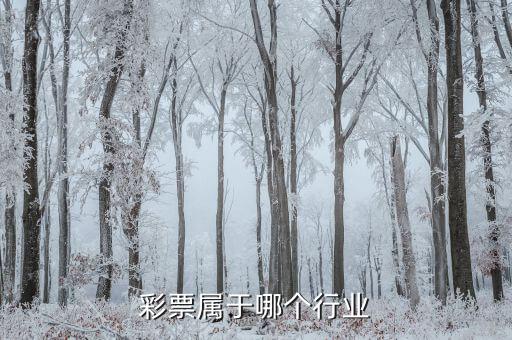 什么是彩票發(fā)行收入，福利彩票的發(fā)行收入是否征收營業(yè)稅