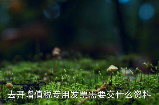 開專票需要對方什么資料，開具增值稅專用發(fā)票需要購買方提交什么資料稅屋