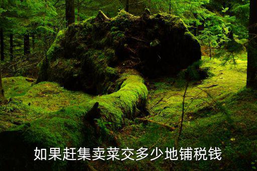 如果趕集賣菜交多少地鋪稅錢(qián)