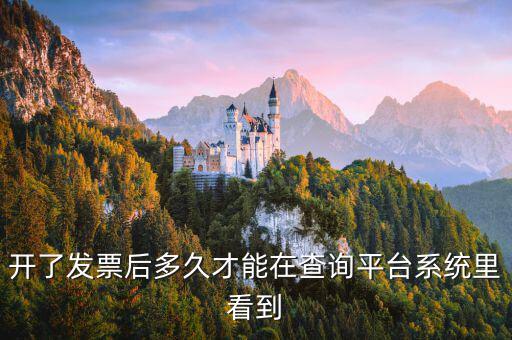 勾選平臺什么時(shí)候可以查到發(fā)票，已經(jīng)開具的專用發(fā)票多久才能在勾選平臺中查到