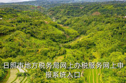 日照?qǐng)?bào)稅的網(wǎng)址是什么意思，網(wǎng)上報(bào)稅在哪個(gè)網(wǎng)站