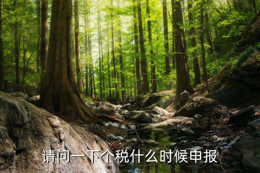 個(gè)稅什么時(shí)候開始申報(bào)，個(gè)人所得稅明細(xì)申報(bào)什么時(shí)候報(bào)