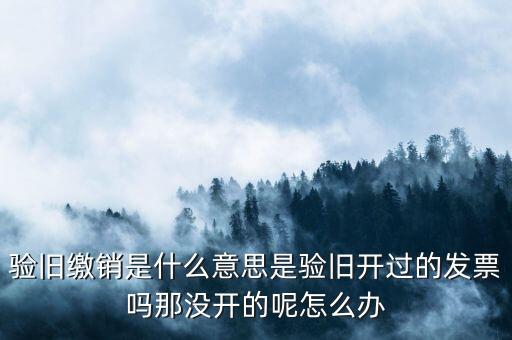 發(fā)票驗舊繳銷是什么意思，發(fā)票驗舊是什么意思