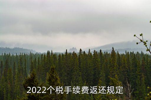 個(gè)稅返手續(xù)費(fèi)什么時(shí)間，退個(gè)稅手續(xù)費(fèi)2022年新規(guī)定