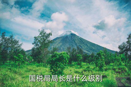 長(zhǎng)春市國稅局局長(zhǎng)什么級(jí)別，地級(jí)市的國稅局局長(zhǎng)是什么干部