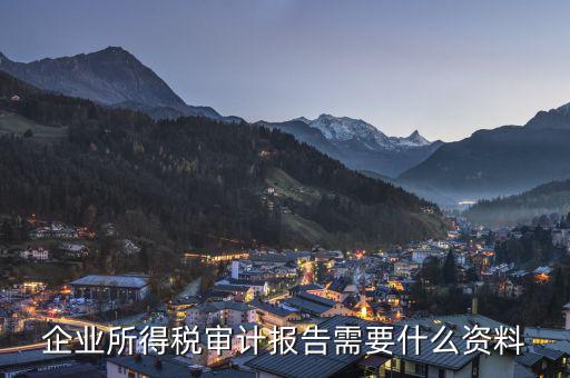 審計稅務(wù)都審什么資料，公司稅審資料