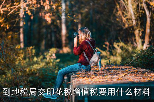 賬簿印花稅去地稅買要帶什么資料，購買印花稅帶什么資料