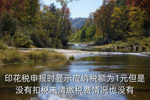 印花稅是1的時(shí)候?yàn)槭裁床豢劭?，印花稅申?bào)時(shí)顯示應(yīng)納稅額為1元但是沒有扣稅未清繳稅費(fèi)情況也沒有