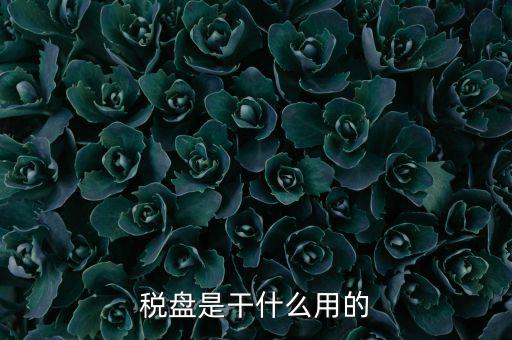 為什么要買金稅盤，稅控盤是一定要買的嗎