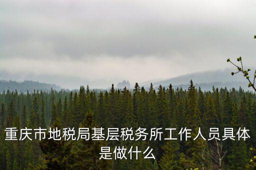 稅務局什么工作人員，請問地方稅務局具體做哪些工作