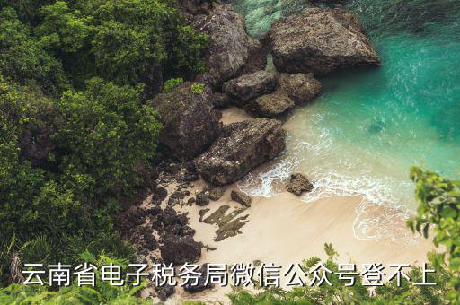 為什么電子稅務登錄不上，云南省電子稅務局微信公眾號登不上
