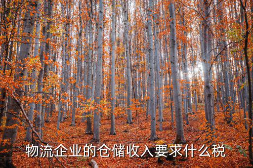 倉(cāng)儲(chǔ)物流公司繳納什么稅，我是會(huì)計(jì)新手 請(qǐng)問(wèn)各位師傅們物流公司應(yīng)繳納什么稅