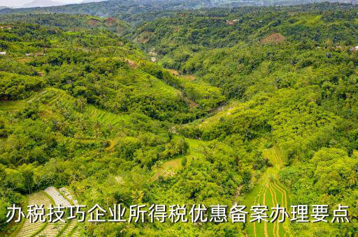 稅收優(yōu)惠事項(xiàng)備案項(xiàng)目是什么，企業(yè)所得稅需備案的事項(xiàng)包括哪些