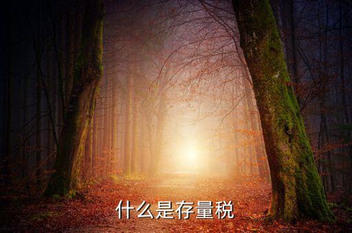 稅務(wù)存量戶指什么，稅務(wù)登記證轉(zhuǎn)非是什么意思