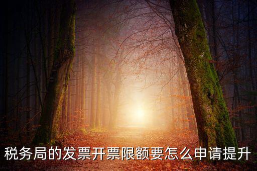 提高開票限額申請需要什么資料，去稅務(wù)局增大公司的開票限額需要帶些什么我公司第一次開票去申