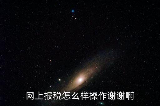 福建企業(yè)在什么網(wǎng)站報(bào)稅，網(wǎng)上報(bào)稅怎么樣操作謝謝啊