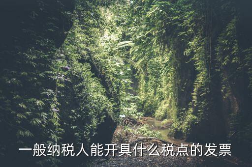 一般納稅人領什么發(fā)票，一般納稅人企業(yè)能開具和使用什么類型的發(fā)票