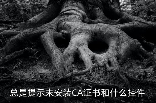 ca控件是什么意思，您是地稅CA用戶(hù)但未安裝企業(yè)CA控件為不影響申報(bào)功能正常使用請(qǐng)點(diǎn)