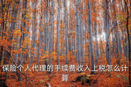 保險(xiǎn)代理員交什么稅，請(qǐng)問(wèn)從車輛保險(xiǎn)代理人的提承里扣的稅是什么稅啊