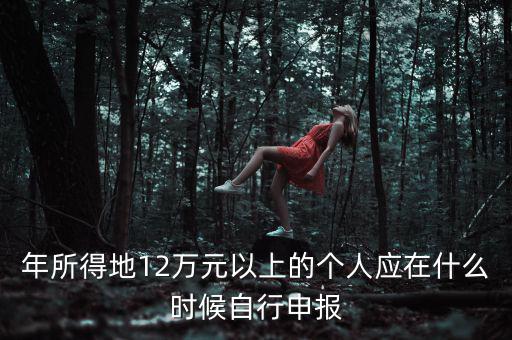 年所得地12萬元以上的個人應(yīng)在什么時候自行申報(bào)