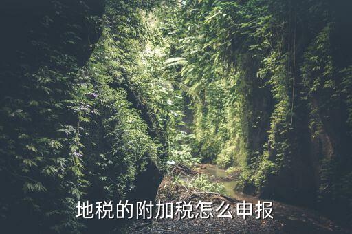 什么是附加稅申報(bào)，地稅的附加稅怎么申報(bào)