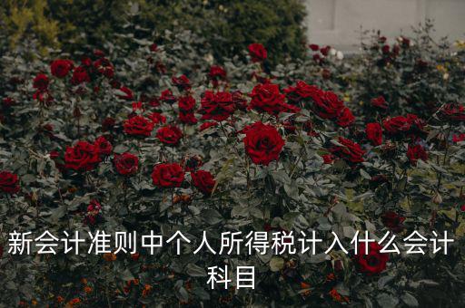 所得稅費(fèi)用什么科目，新會(huì)計(jì)準(zhǔn)則中個(gè)人所得稅計(jì)入什么會(huì)計(jì)科目