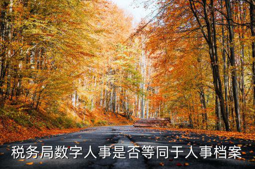 數(shù)字人事國稅是什么，數(shù)字人事第一段怎么劃分