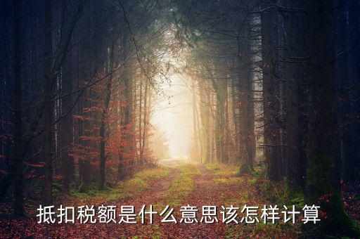 抵免稅額是什么意思，抵扣稅額是什么意思該怎樣計(jì)算
