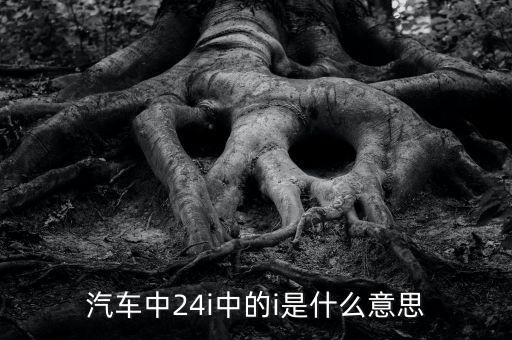 小車船i代表什么意思，汽車中24i中的i是什么意思