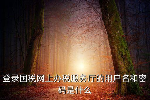 國稅默認(rèn)賬號是什么意思，你好我想問你 一下 網(wǎng)上國稅的用戶名和密碼是什么
