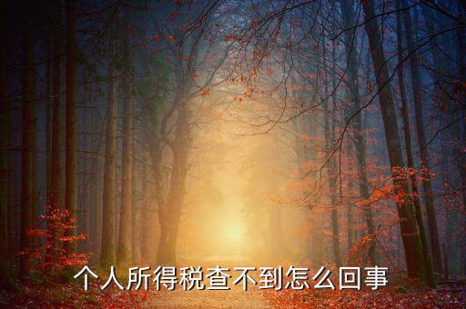 個(gè)人所得稅扣減為什么查不到，個(gè)人所得稅為什么不能在網(wǎng)上查找