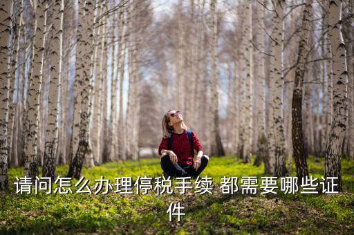 停供發(fā)票需要注意什么手續(xù)，停國稅要怎么辦理 要什么手續(xù)