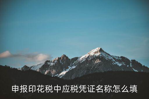 印花稅應(yīng)稅憑證名稱是什么，申報印花稅中應(yīng)稅憑證名稱怎么填
