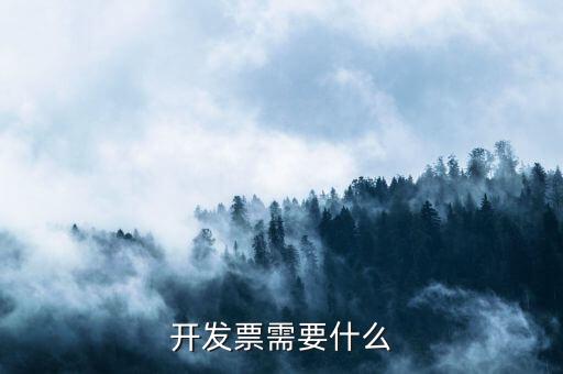正式發(fā)票要什么手續(xù)，公司開發(fā)票需要什么手續(xù)