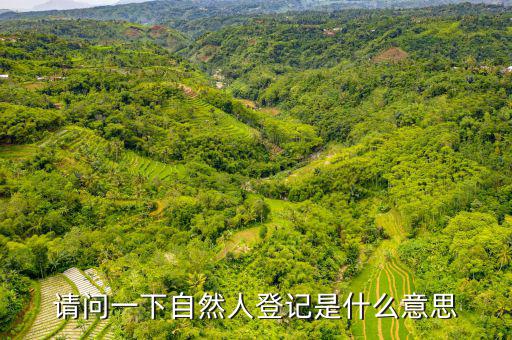 自然人登錄是什么，自然人密碼是什么