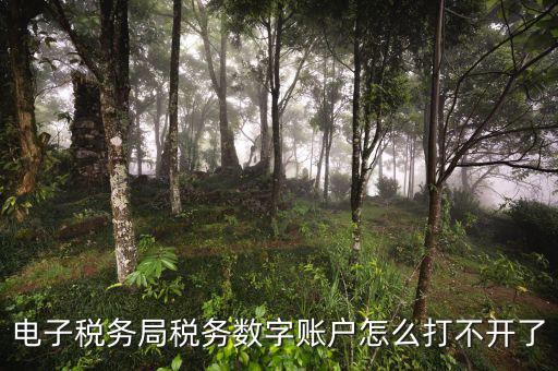 為什么電子地方稅務(wù)局進不去，網(wǎng)上稅務(wù)局怎么登錄不進去