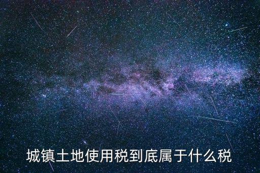 城鎮(zhèn)土地使用稅屬于什么稅種，城鎮(zhèn)土地使用稅到底屬于什么稅