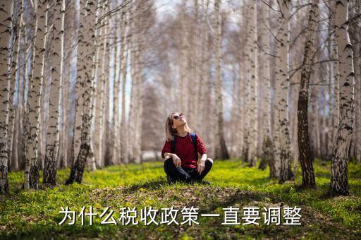 為什么進行納稅調整，我國為什么要進行個人所得稅調整高中政治