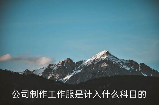 工作服屬于什么稅收分類編碼，稅控上商品和服務(wù)稅收分類編碼怎么填
