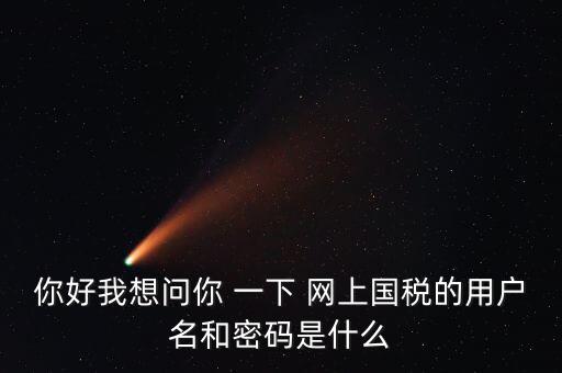 稅務(wù)登記密碼是什么，國(guó)稅第一次網(wǎng)上申報(bào)的登陸密碼是什么