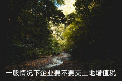 什么企業(yè)交土地增值稅，一般情況下企業(yè)要不要交土地增值稅