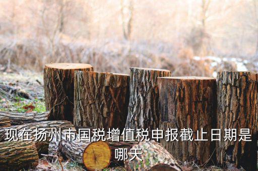 揚(yáng)州10月稅務(wù)申報(bào)什么時(shí)候，個(gè)人所得稅10月份申報(bào)期限是多少