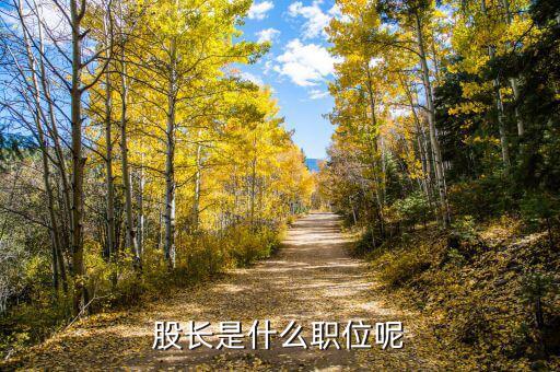 征管股股長是干什么的，稅務局 征收管理股股長 是個什么職務相當于什么