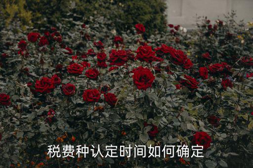 稅種認(rèn)定后什么時間申報，稅務(wù)局變更稅費(fèi)種認(rèn)定變更后多久可以可以報稅