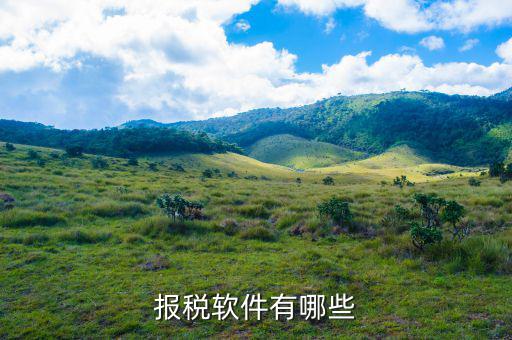 四川報稅軟件叫什么名字，網(wǎng)上報稅的那個軟件叫什么呀