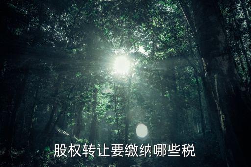 公司轉(zhuǎn)讓股權(quán)交什么稅，股權(quán)轉(zhuǎn)讓要繳納哪些稅