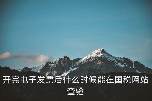 開(kāi)完電子發(fā)票后什么時(shí)候能在國(guó)稅網(wǎng)站查驗(yàn)